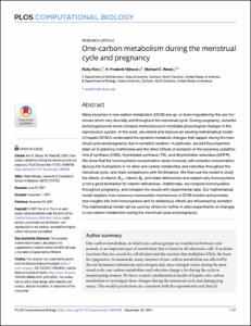 Menstrual Cycle During Pregnancy